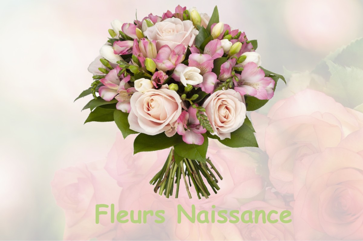 fleurs naissance HERRE