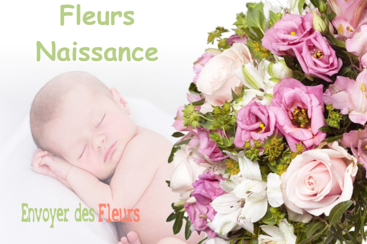 lIVRAISON FLEURS NAISSANCE à HERRE